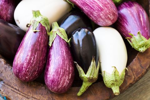 Aubergine