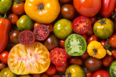 Tomates