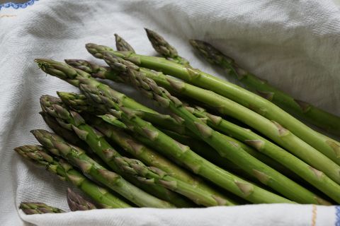Les asperges vertes