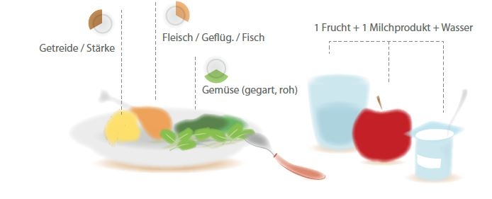 Composition du repas principal pour enfants (Jpeg, 27 KB) - Neues Fenster