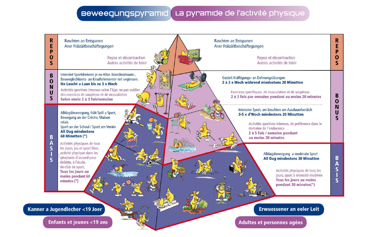 La pyramide de l’activité physique, voir description ci-après