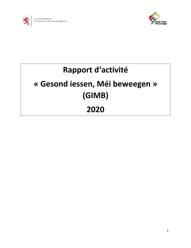 Rapport d'activité GIMB 2020